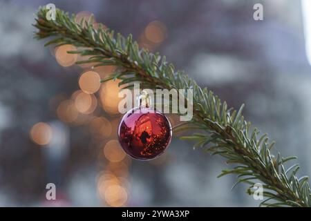 Gros plan d'une boule de Noël rouge sur une branche de sapin avec des lumières floues, Borken, Muensterland, Rhénanie du Nord-Westphalie, Allemagne, Europe Banque D'Images