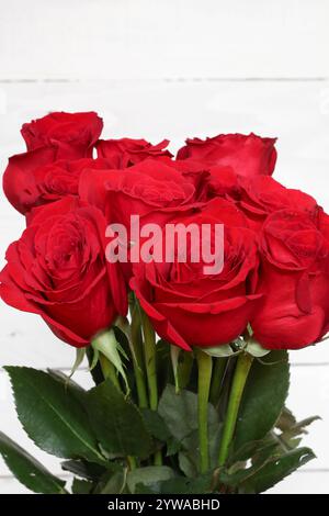 bouquet de roses rouges sur fond blanc, gros plan Banque D'Images