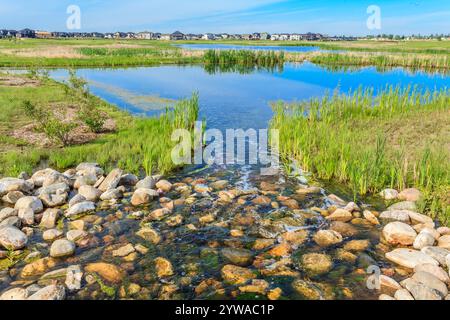 Un courant d'eau coule entre deux rochers. L'eau est claire et calme. Les roches sont grandes et dispersées dans tout le ruisseau. La scène est paisible Banque D'Images