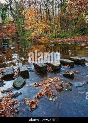 Royaume-Uni, South Yorkshire, Sheffield, Rivelin Valley, River Rivelin, Roscoe Stepping Stones. Banque D'Images