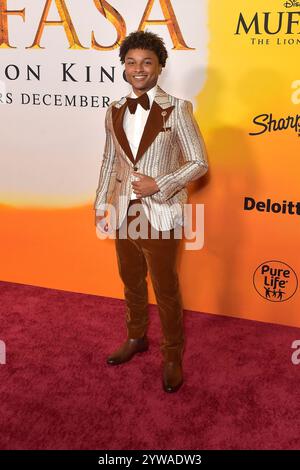 Andre Swilley BEI der Weltpremiere des Kinofilms Mufasa : le Roi Lion