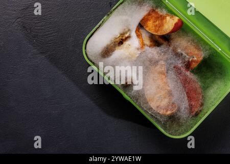 Boîte à lunch verte avec des tranches de pommes moisies montrant de la moisissure moelleuse blanche sur les fruits. concept de moule et de nourriture expirée. Banque D'Images