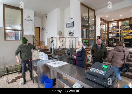 Litomysl, République tchèque. 10 décembre 2024. Vente de carpes de Noël à Litomysl, République tchèque, 10 décembre 2024. La carpe est la nourriture traditionnelle tchèque le soir de Noël. Crédit : Josef Vostarek/CTK photo/Alamy Live News Banque D'Images