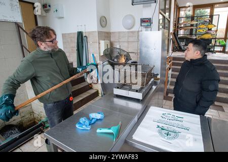 Litomysl, République tchèque. 10 décembre 2024. Vente de carpes de Noël à Litomysl, République tchèque, 10 décembre 2024. La carpe est la nourriture traditionnelle tchèque le soir de Noël. Crédit : Josef Vostarek/CTK photo/Alamy Live News Banque D'Images