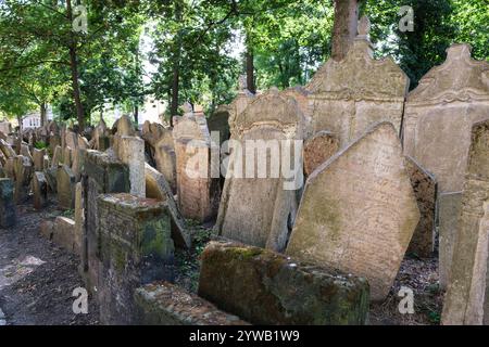 Pierres tombales du vieux cimetière juif, Prague, Tchéquie, République tchèque. Banque D'Images