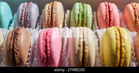 Bannière de macarons français brillants avec paperpan blanc dans deux rangées, boîte d'emballage transparente en plastique sur le comptoir de cuisine, gâteaux colorés divers flavo Banque D'Images