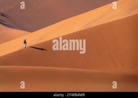 Silhouette d'un grimpeur solitaire sur la dune de sable Big Daddy au lever du soleil à Sossusvlei, parc national Namib Naukluft, paysage abstrait de Namibie, Afrique Banque D'Images