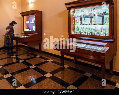 Erevan, Arménie - 22 novembre 2024 : salle avec des ingrédients médiévaux dans le musée Matenadaran (Mesrop Mashtots Institute of Ancient Manuscripts) à Erevv Banque D'Images