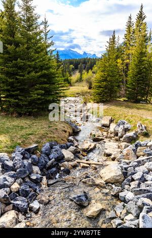 Un ruisseau rocheux avec des arbres en arrière-plan. Le ruisseau est petit et contient beaucoup de roches Banque D'Images