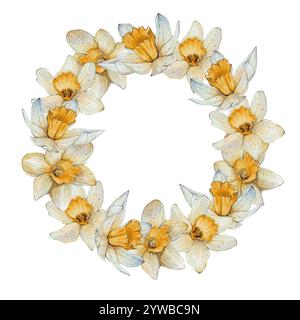 Couronne ronde, cadre de jonquilles jaunes sur fond blanc. Idéal pour, cartes de visite, cartes postales, étiquettes, invitation. Conception pour emballage, magasins de fleurs. Printemps, fleurs de Pâques Banque D'Images
