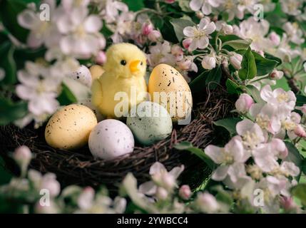 Poussin jouet jaune dans un nid avec des œufs colorés et entouré de fleurs Banque D'Images