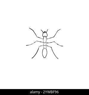 Fourmi d'esquisse de doodle dessinée par vecteur à la main isolée sur fond blanc Illustration de Vecteur