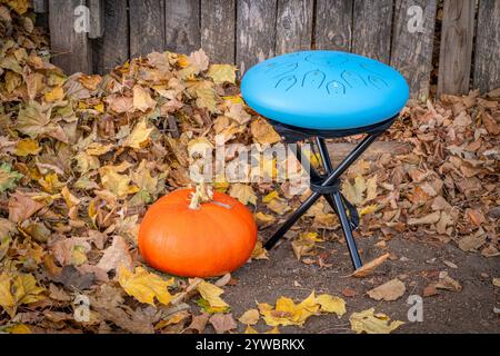 tambour de langue en acier dans la cour arrière avec des feuilles de citrouille et d'érable, instrument de percussion souvent utilisé pour la méditation et la thérapie sonore Banque D'Images