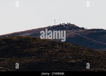 Photo de Tarnica, le plus haut sommet des monts Bieszczady, Pologne. Vue depuis Bukowe Berdo. Banque D'Images