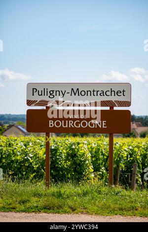 Vignoble vert autour du village de Puligny-Montrachet, panneau routier du vin de Bourgogne, France. Vinification de vin sec blanc de haute qualité à partir de raisins Chardonnay sur gr Banque D'Images