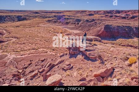 Vue latérale d'un homme debout sur une falaise regardant Dead Wash, Petrified Forest National Park, Arizona, USA Banque D'Images