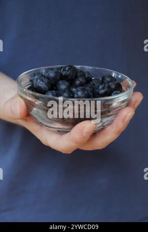 Gros plan de main masculine caucasienne tenant un bol de bleuets. Banque D'Images