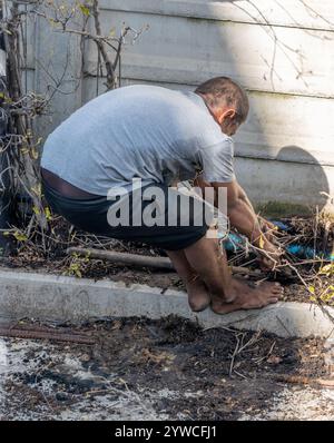 SAMUT PRAKAN, THAÏLANDE, OCT 03 2024, Un homme pieds nus tente de tirer un arbre du sol Banque D'Images