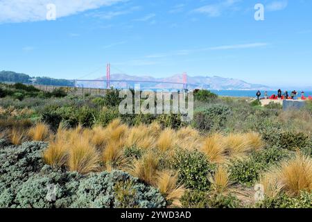 Golden Gate Bridge vu depuis le parc tunnel Tops dans le Presidio, San Francisco, Californie par un jour d'hiver bleu clair ; des plantes de broussailles et des herbes indigènes. Banque D'Images