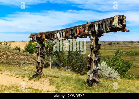 Un poteau en bois avec de nombreuses chaussures suspendues. Les chaussures sont de différentes couleurs et tailles. Le poste est situé dans un champ herbeux avec des arbres dans la BA Banque D'Images