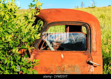 Un vieux camion rouillé avec une fenêtre cassée se trouve dans un champ. La vue de la fenêtre est obscurcie par les branches de l'arbre Banque D'Images