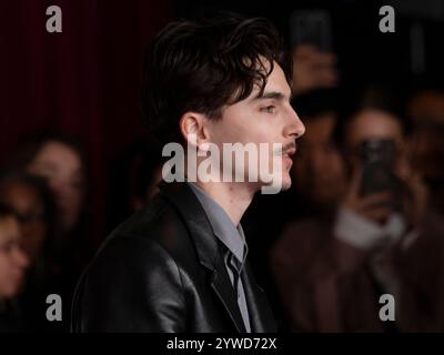 10 décembre 2024, Hollywood, Californie, États-Unis : Timothee Chalamet. Première mondiale de ''A Complete Unknown'' assiste à la première mondiale de ''A Complete Unknown'' (crédit image : © Billy Bennight/ZUMA Press Wire) USAGE ÉDITORIAL SEULEMENT! Non destiné à UN USAGE commercial ! Banque D'Images