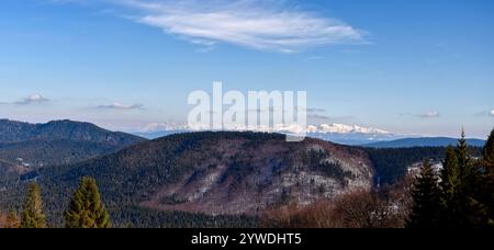 Magnifique panorama de montagne. Sommets enneigés des montagnes Tatra en arrière-plan. Vue depuis le pâturage Rycerzowa dans le Żywiec Beskid Banque D'Images