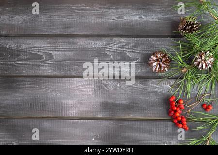 Fond en bois avec branches d'épinette, cônes et baies de rowan. Décoration naturelle de Noël. Banque D'Images