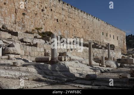 Colonnes apportées du VIIIe siècle av. J.-C. 4e palais omeyyade en ruines et mis sur les marches hérodiennes en ruines à la porte Tripple dans le mur vu à l'arrière. Banque D'Images