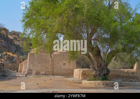 Lieu touristique populaire dans les Émirats du Nord, la mosquée Al Bidyah ou Badiyah, ou Bidia est le plus ancien culte et patrimoine religieux complexe,1446, aux Émirats arabes Unis. Banque D'Images