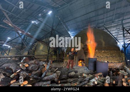 Ouvrier enlevant les restes de charbon de bois du four à combustion dans l'usine de charbon de bois de Perak, Malaisie Banque D'Images