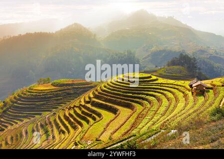 Terrasses de rices à Sapa, Vietnam Banque D'Images