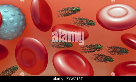 Proteus mirabilis peut causer des infections de la circulation sanguine en libérant des endotoxines dans la circulation sanguine ; bactériémie 3d rendu. Banque D'Images