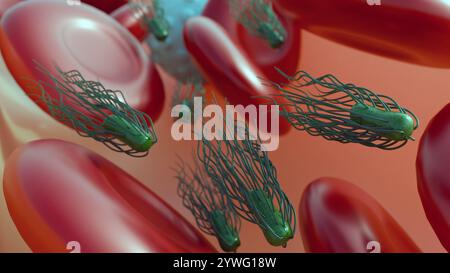 Proteus mirabilis peut causer des infections de la circulation sanguine en libérant des endotoxines dans la circulation sanguine ; bactériémie 3d rendu. Banque D'Images