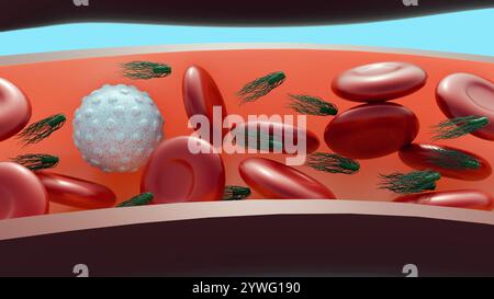 Proteus mirabilis peut causer des infections de la circulation sanguine en libérant des endotoxines dans la circulation sanguine ; bactériémie 3d rendu. Banque D'Images