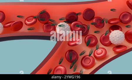 Proteus mirabilis peut causer des infections de la circulation sanguine en libérant des endotoxines dans la circulation sanguine ; bactériémie 3d rendu. Banque D'Images