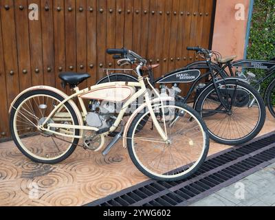 CHIANG-mai, THAÏLANDE - 10 DÉCEMBRE 2024 : Vintage rares Harley Davidson motos garées dans un endroit magnifique. Banque D'Images