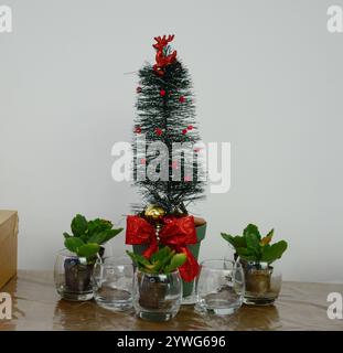 Petit arbre de Noël avec décorations et tasses en verre à la base Banque D'Images