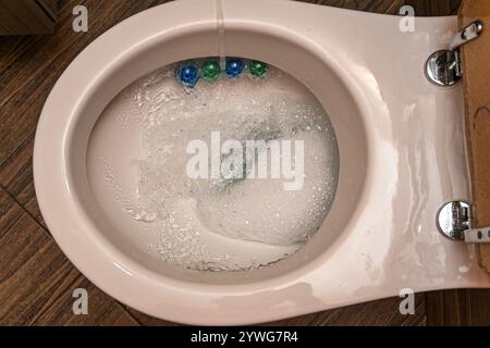 Le bloc de jante à l'intérieur d'une cuvette de toilette blanche et propre apporte fraîcheur et hygiène. Banque D'Images