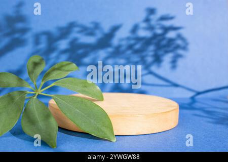 Plantez des ombres sur fond violet avec un support rond en bois et une feuille de palmier verte Banque D'Images