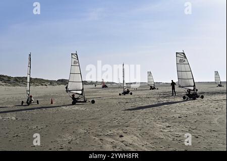 Marin de plage sur une plage de sable, de Cocksdorp, mer du Nord, Texel, Îles de Frise occidentale, province de Hollande du Nord, pays-Bas Banque D'Images