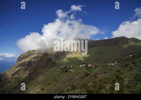 Masca village de montagne, Masca gorge, Barranco de Masca, Teno Mountains, Tenerife, îles Canaries, Espagne, Europe Banque D'Images