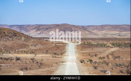 La piste de gravier mène à travers un paysage aride et sec avec des collines rouges et jaunes, Kaokoveld, Kunene, Namibie, Afrique Banque D'Images