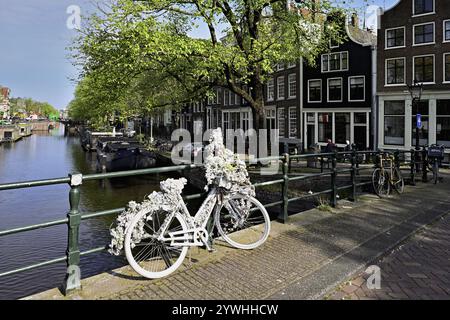Vélo blanc décoré de fleurs sur un pont près d'un canal, Amsterdam, Province de Hollande du Nord, pays-Bas Banque D'Images