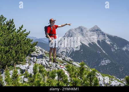 Alpiniste sur un sentier de randonnée entre pins de montagne, pointant dans la distance, pic de montagne Seekarspitze en arrière-plan, ascension à Hochunnuetz Banque D'Images