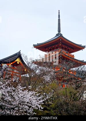 L'emblématique temple Kiyomizu dera à Kyoto, au Japon, présente une pagode rouge entourée de cerisiers en fleurs et de verdure sous un ciel couvert. Banque D'Images