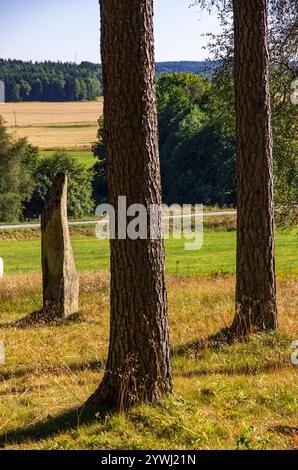 Cadre en pierre, un artefact en pierre historique datant de la fin de l'âge du fer sur le site funéraire de Blomsholm près de Strömstad à Bohuslän, en Suède. Banque D'Images