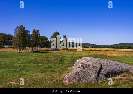 Le monticule funéraire de Grönehög, non loin du cimetière de Blomsholm, est un site archéologique du début de l'âge du fer près de Strömstad à Bohuslän, en Suède. Banque D'Images