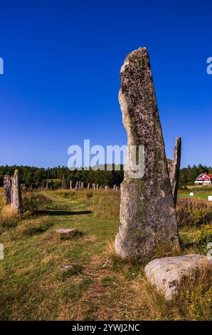 Le navire se trouve sur le site funéraire de Blomsholm, un monument en pierre de l'âge du fer près de Strömstad à Bohuslän, Västra Götalands län, Suède. Banque D'Images