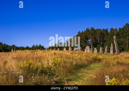 Le navire se trouve sur le site funéraire de Blomsholm, un monument en pierre de l'âge du fer près de Strömstad à Bohuslän, Västra Götalands län, Suède. Banque D'Images